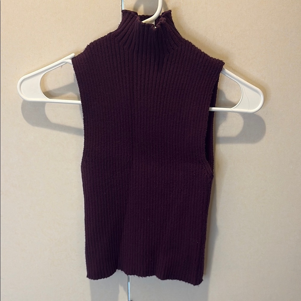 Zara Deep Purple Ribbed Knit Top